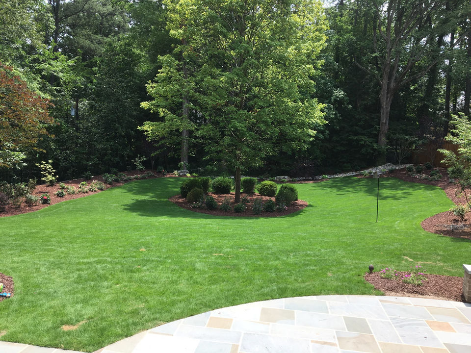 Backyard Lawn & Patio Edge