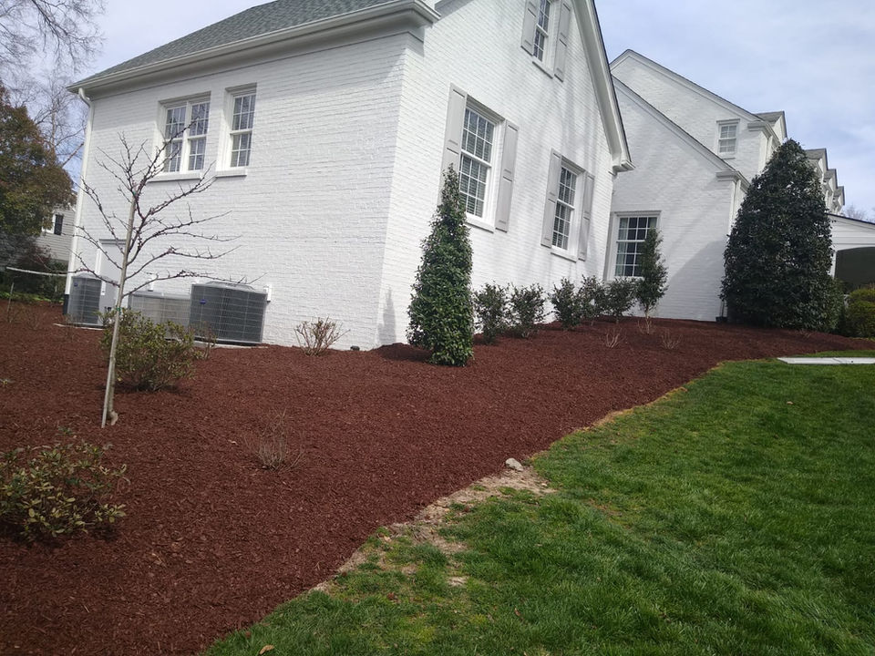 Fresh Foundation Plantings