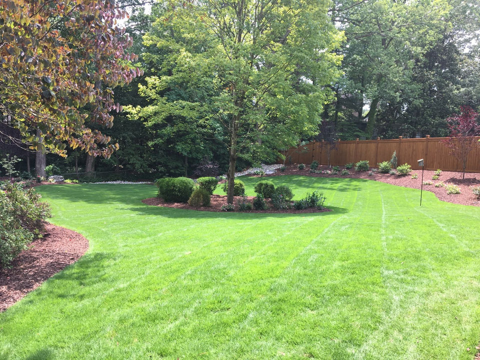 Manicured Backyard Lawn